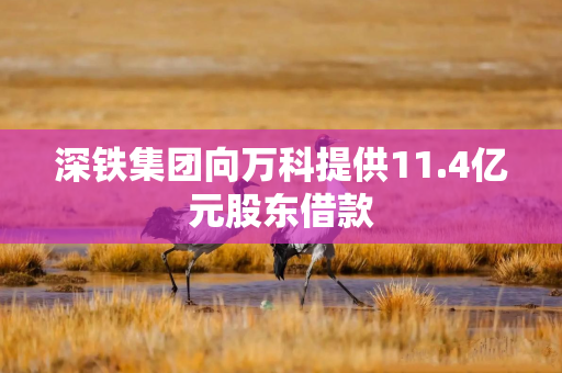 深铁集团向万科提供11.4亿元股东借款