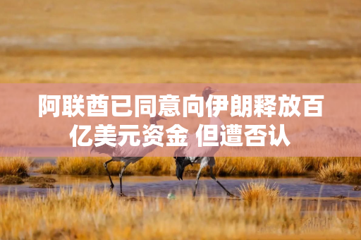 阿联酋已同意向伊朗释放百亿美元资金 但遭否认