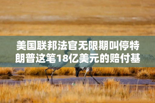美国联邦法官无限期叫停特朗普这笔18亿美元的赔付基金
