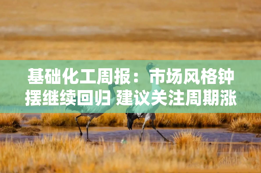 基础化工周报:市场风格钟摆继续回归 建议关注周期涨价方向 基础化工周报:市场风格钟摆继续回归 建议关注周期涨价方向