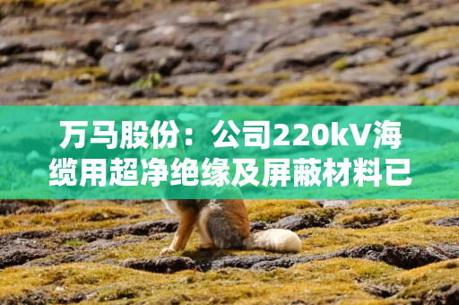 万马股份:公司220kV海缆用超净绝缘及屏蔽材料已实现工程化应用 万马股份:公司220kV海缆用超净绝缘及屏蔽材料已实现工程化应用