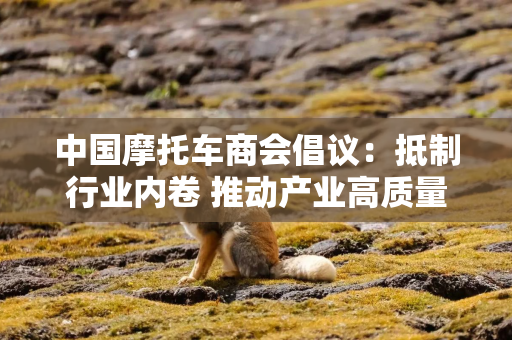 中国摩托车商会倡议：抵制行业内卷 推动产业高质量发展