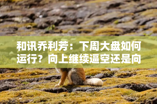 和讯乔利芳：下周大盘如何运行？向上继续逼空还是向下补缺？
