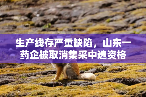 生产线存严重缺陷，山东一药企被取消集采中选资格