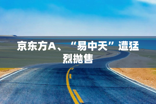 京东方A、“易中天”遭猛烈抛售