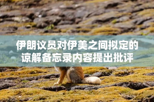伊朗议员对伊美之间拟定的谅解备忘录内容提出批评
