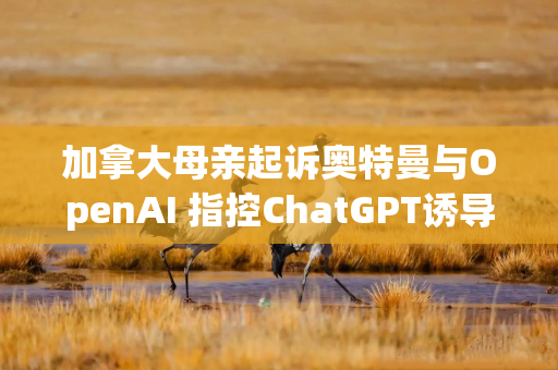 加拿大母亲起诉奥特曼与OpenAI 指控ChatGPT诱导女儿自杀