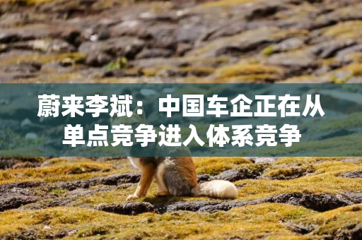 蔚来李斌：中国车企正在从单点竞争进入体系竞争