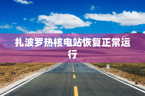 扎波罗热核电站恢复正常运行
