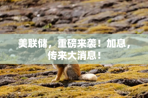 美联储，重磅来袭！加息，传来大消息！