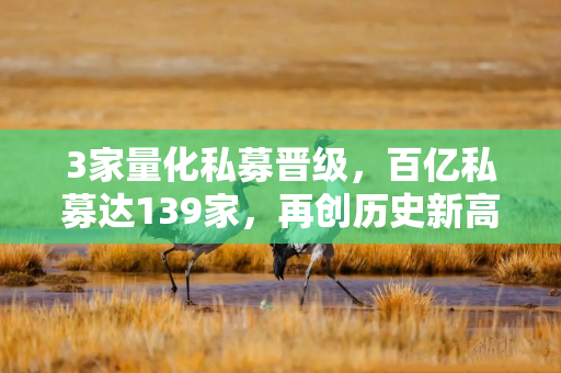 3家量化私募晋级，百亿私募达139家，再创历史新高！但5月量化策略超额显著回撤