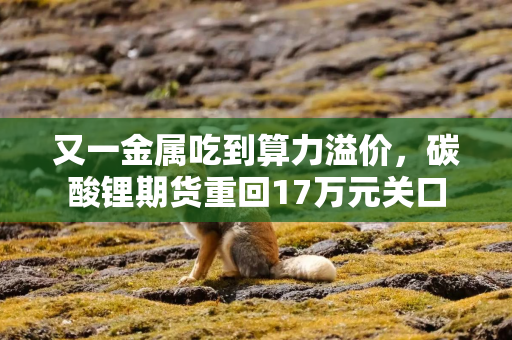 又一金属吃到算力溢价，碳酸锂期货重回17万元关口