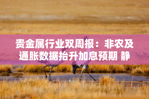 贵金属行业双周报：非农及通胀数据抬升加息预期 静待下周美联储议息会议