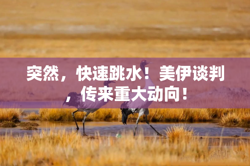 突然，快速跳水！美伊谈判，传来重大动向！