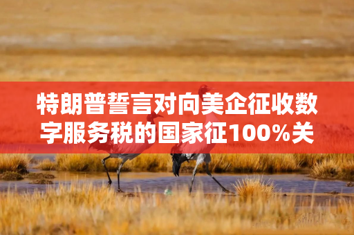 特朗普誓言对向美企征收数字服务税的国家征100%关税