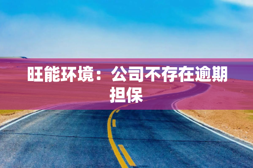 旺能环境：公司不存在逾期担保