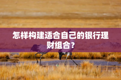 怎样构建适合自己的银行理财组合？