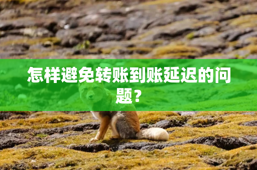 怎样避免转账到账延迟的问题？