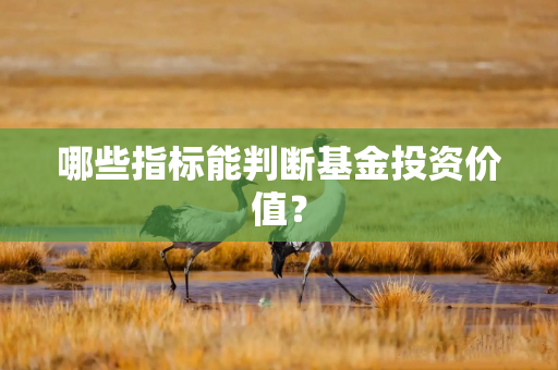 哪些指标能判断基金投资价值？
