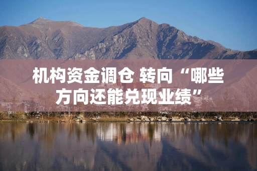 机构资金调仓 转向“哪些方向还能兑现业绩”