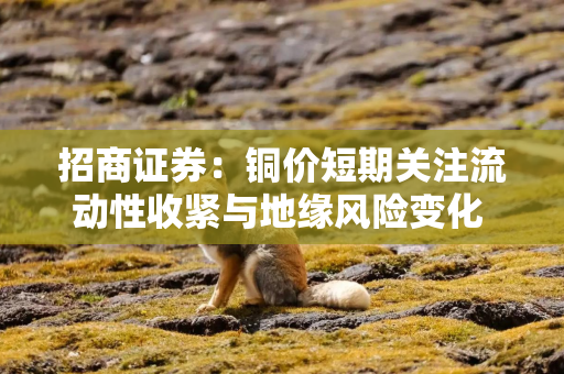 招商证券：铜价短期关注流动性收紧与地缘风险变化 中长期仍看供需格局演变