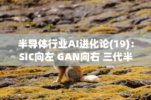 半导体行业AI进化论(19)：SIC向左 GAN向右 三代半导体成为数据中心高压架构的必然解