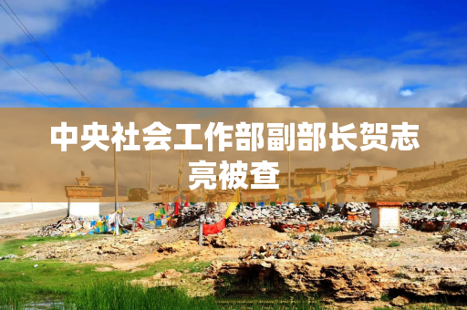中央社会工作部副部长贺志亮被查