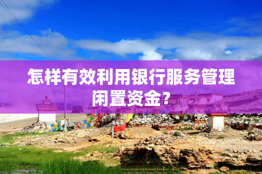 怎样有效利用银行服务管理闲置资金？