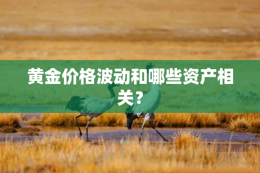 黄金价格波动和哪些资产相关？