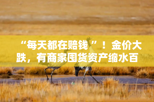“每天都在赔钱 ”！金价大跌，有商家囤货资产缩水百万，“跌掉一辆迈巴赫”
