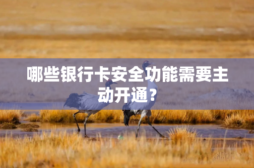 哪些银行卡安全功能需要主动开通？