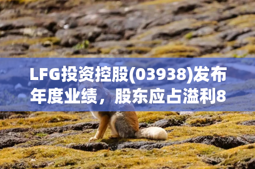 LFG投资控股(03938)发布年度业绩，股东应占溢利805.9万港元 同比扭亏为盈