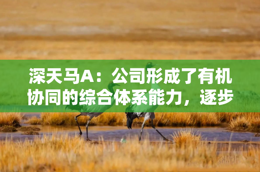 深天马A：公司形成了有机协同的综合体系能力，逐步构建起了业务护城河，具备强劲头部竞争优势