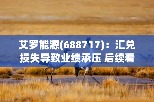 艾罗能源(688717)：汇兑损失导致业绩承压 后续看工商储放量