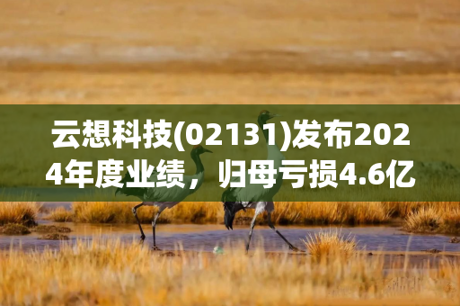 云想科技(02131)发布2024年度业绩，归母亏损4.6亿元 同比盈转亏