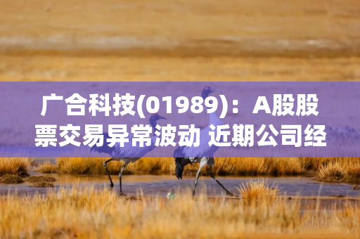 广合科技(01989)：A股股票交易异常波动 近期公司经营情况及内外部经营环境未发生重大变化
