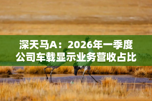 深天马A：2026年一季度公司车载显示业务营收占比持续提升