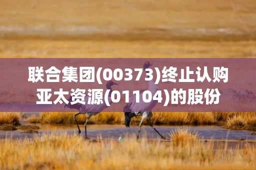联合集团(00373)终止认购亚太资源(01104)的股份