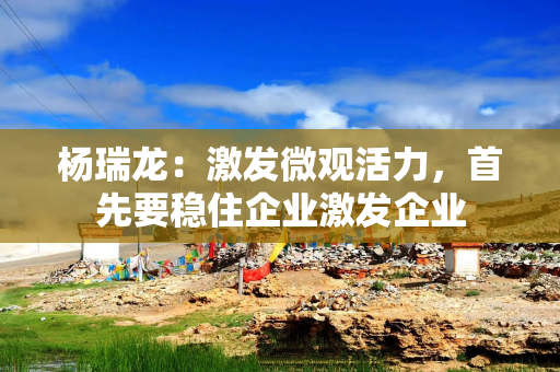 杨瑞龙：激发微观活力，首先要稳住企业激发企业