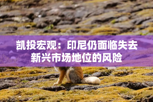 凯投宏观：印尼仍面临失去新兴市场地位的风险
