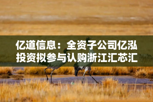 亿道信息：全资子公司亿泓投资拟参与认购浙江汇芯汇智创业投资合伙企业（有限合伙）基金份额
