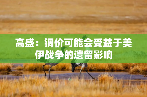 高盛：铜价可能会受益于美伊战争的遗留影响