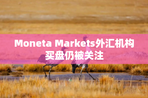 Moneta Markets外汇机构买盘仍被关注