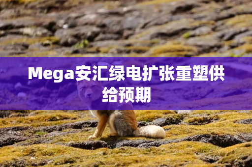 Mega安汇绿电扩张重塑供给预期