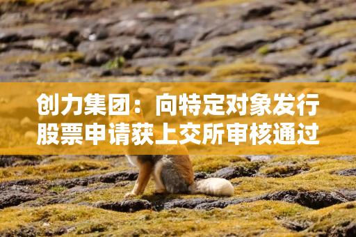 创力集团：向特定对象发行股票申请获上交所审核通过