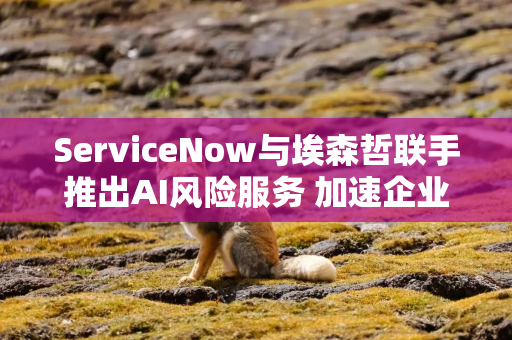 ServiceNow与埃森哲联手推出AI风险服务 加速企业告别遗留平台