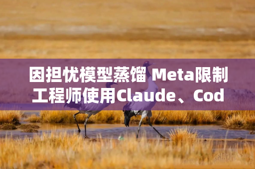 因担忧模型蒸馏 Meta限制工程师使用Claude、Codex