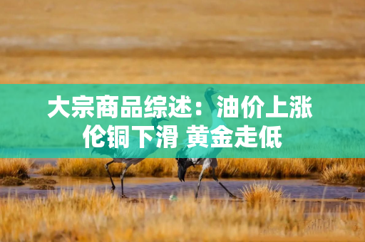 大宗商品综述：油价上涨 伦铜下滑 黄金走低