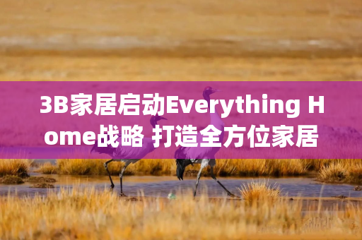 3B家居启动Everything Home战略 打造全方位家居生态系统