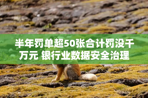半年罚单超50张合计罚没千万元 银行业数据安全治理加速转向“主动防御”